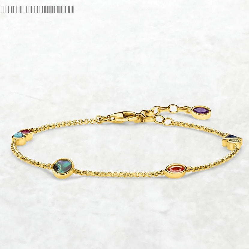 Paradise Link